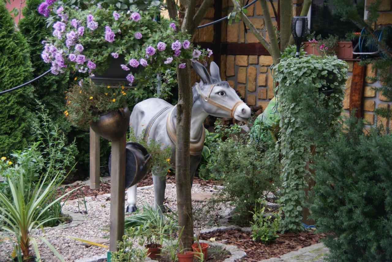 Willa U Damiana - Pokoje Noclegi Nad Morzem Großmöllen Exterior foto