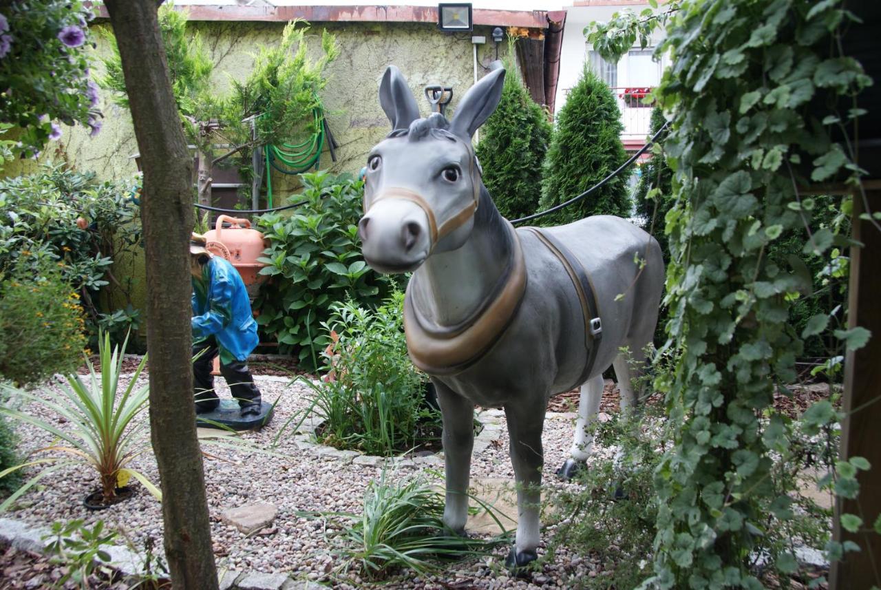 Willa U Damiana - Pokoje Noclegi Nad Morzem Großmöllen Exterior foto